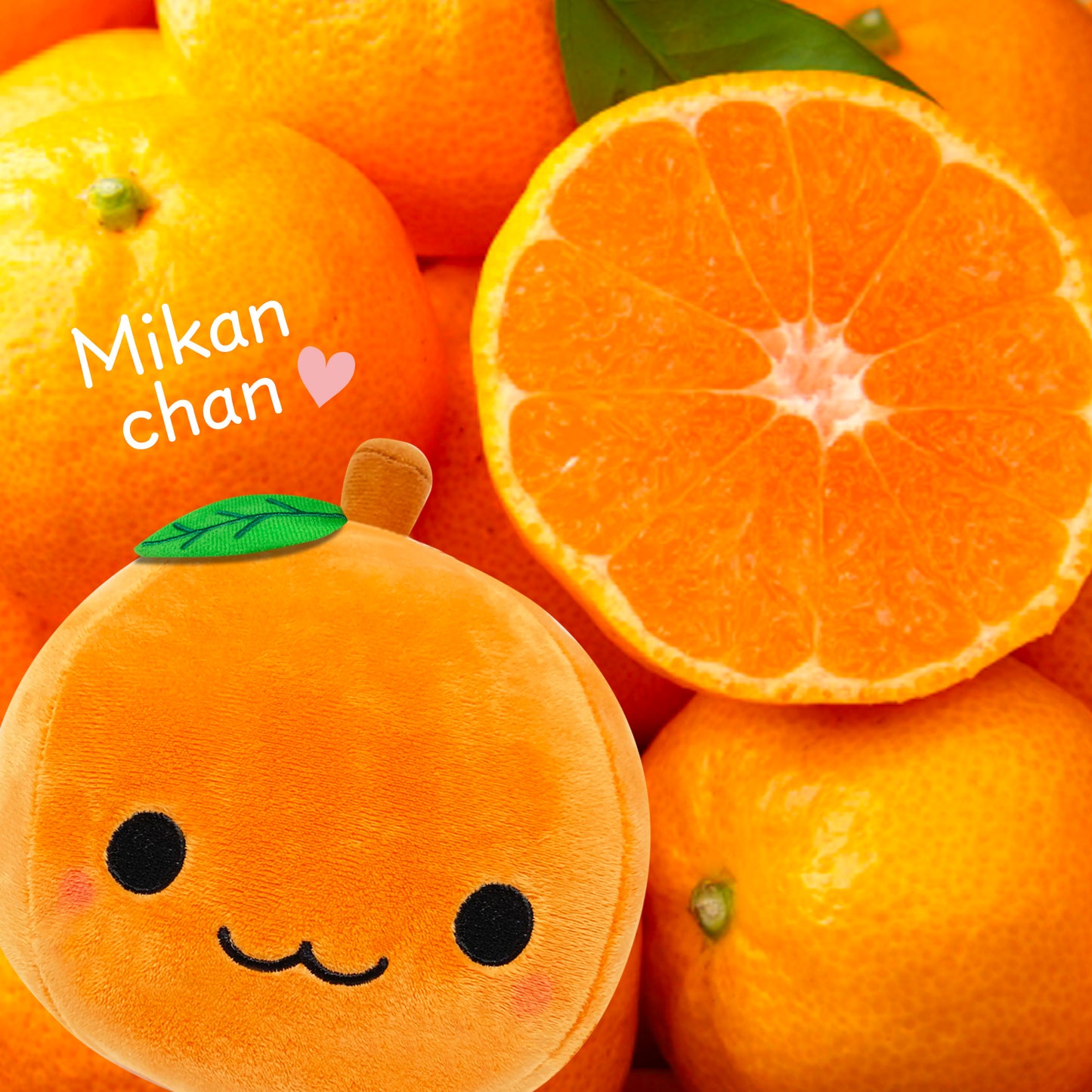 Instagram of Orange Fruit Stuffed Toy Mikanchan Orange