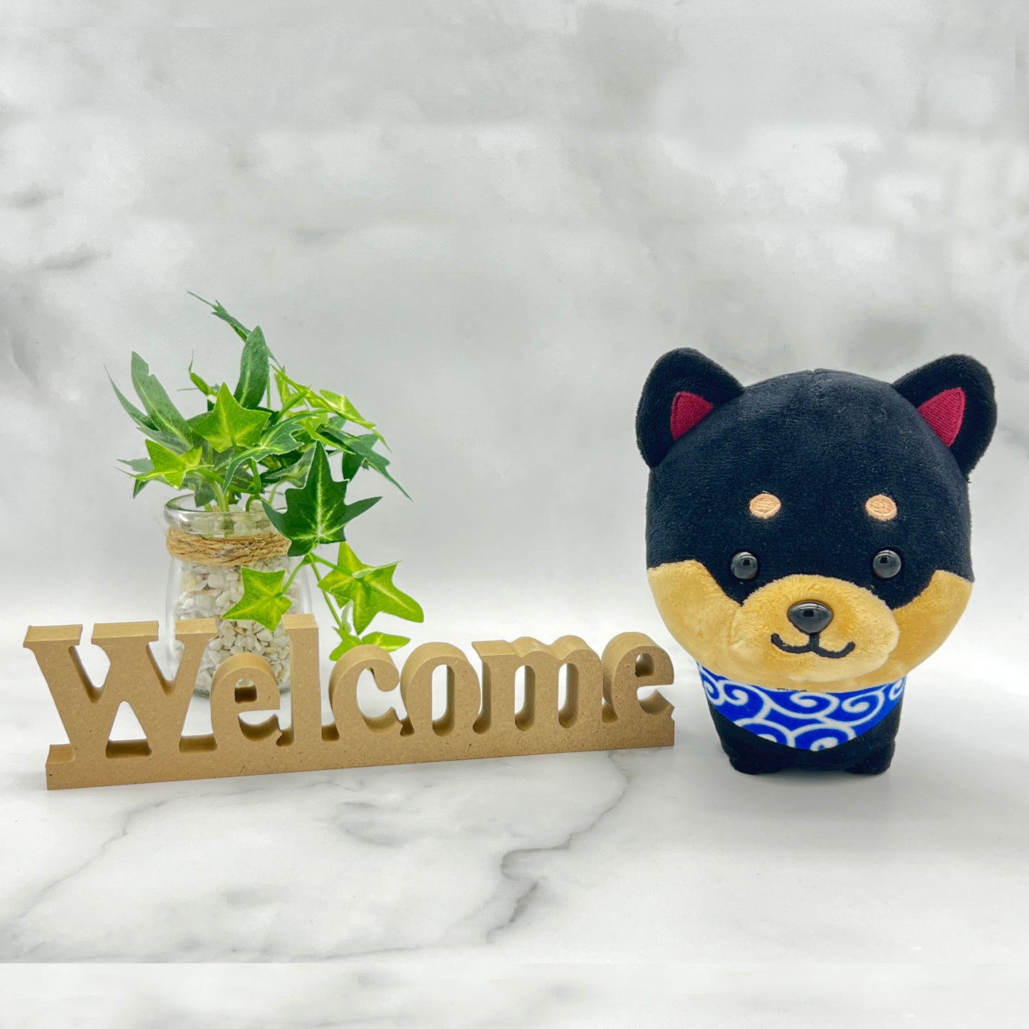 Stuffed dog Mameshiba black, plants and welcome character